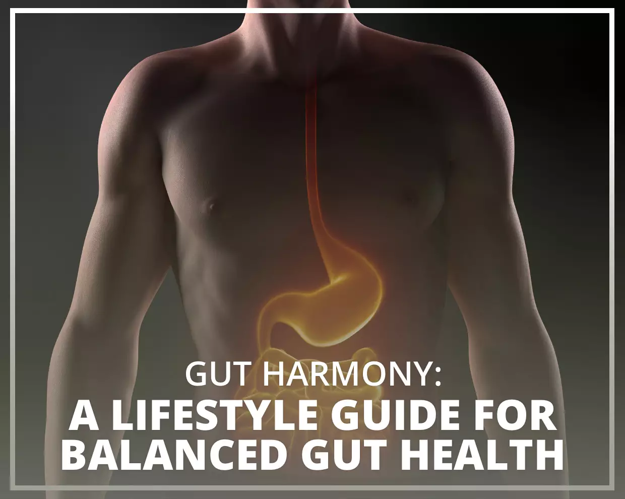 A Lifestyle Guide for Balanced Gut Health