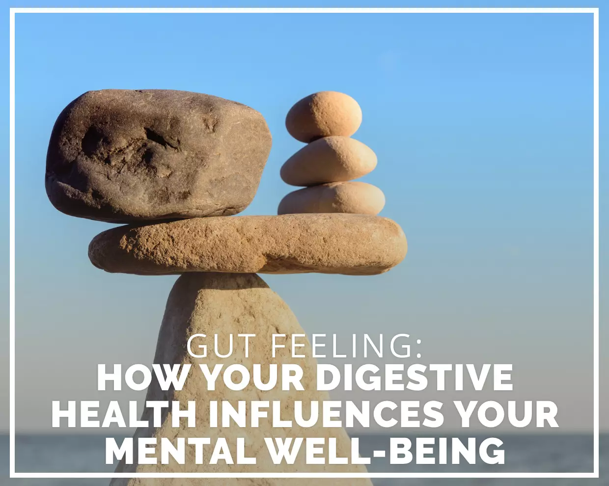 Gut Feeling: How Your Digestive Health Influences Your Mental Well-being