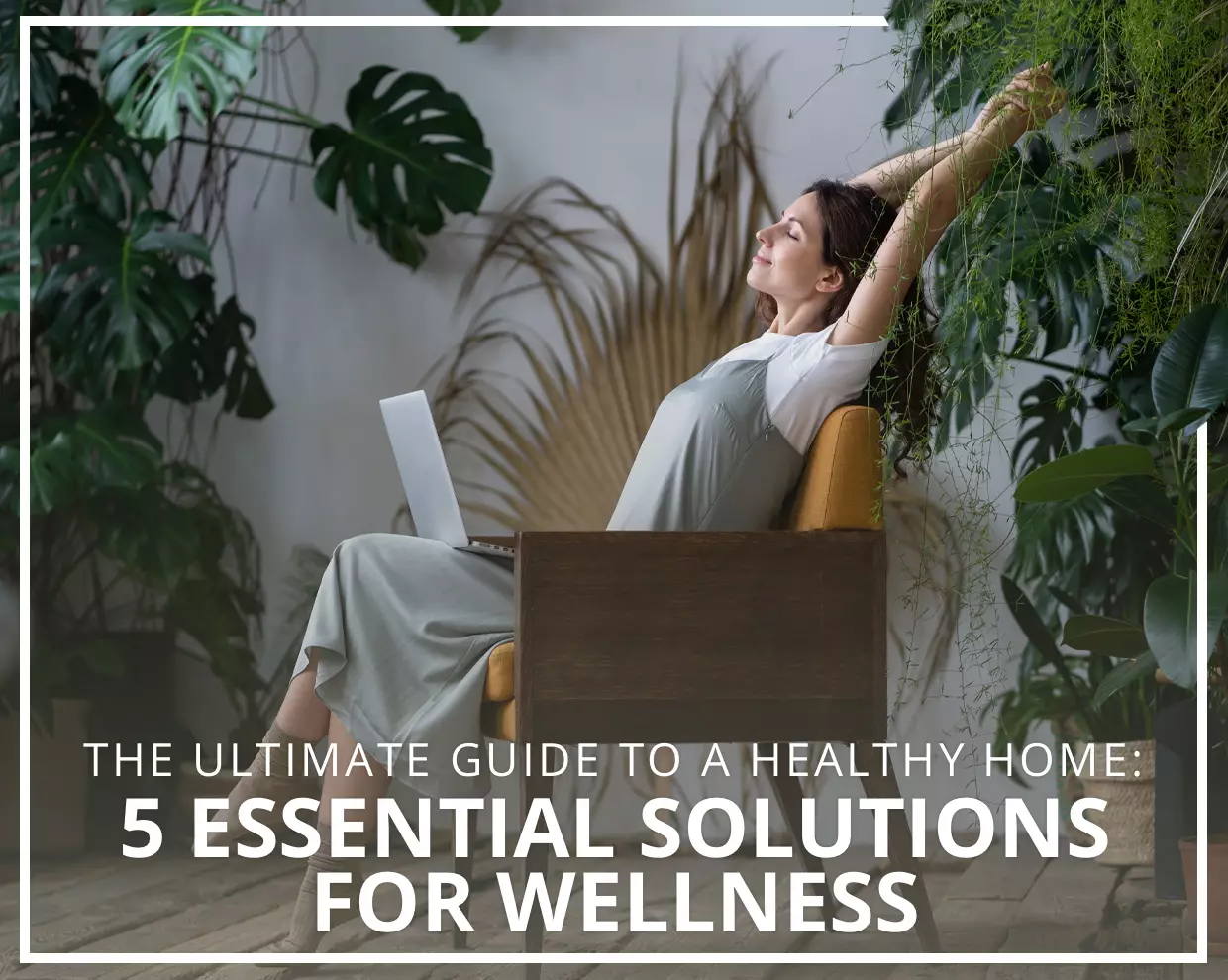 The Ultimate Guide to a Healthy Home: 5 Essential Solutions for Wellness 