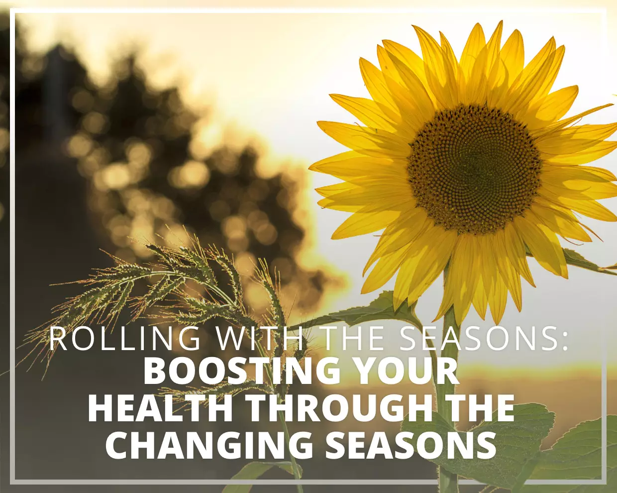 Rolling with the Rhythms: How Seasonal Shifts Affect Our Health