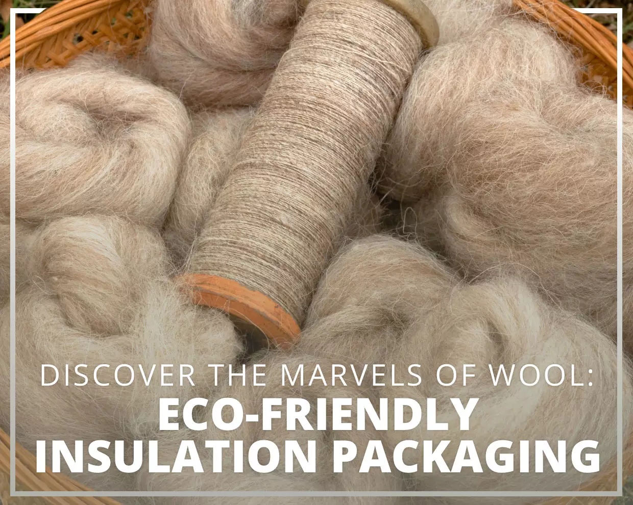 Wool You Believe It? - The Insulating Marvel of 100% Pure Wool Packaging