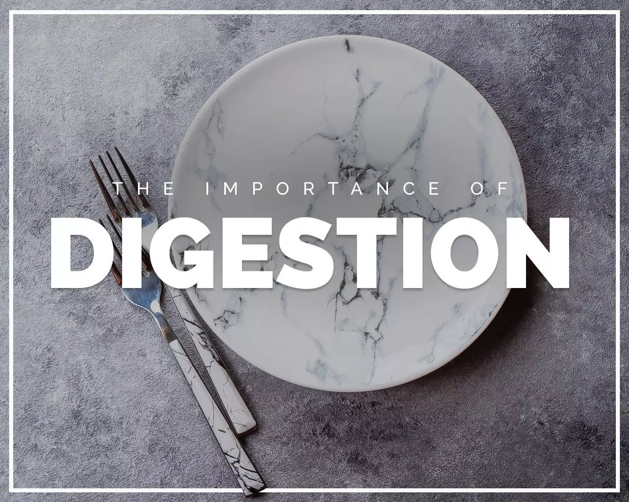 The Importance of Digestion