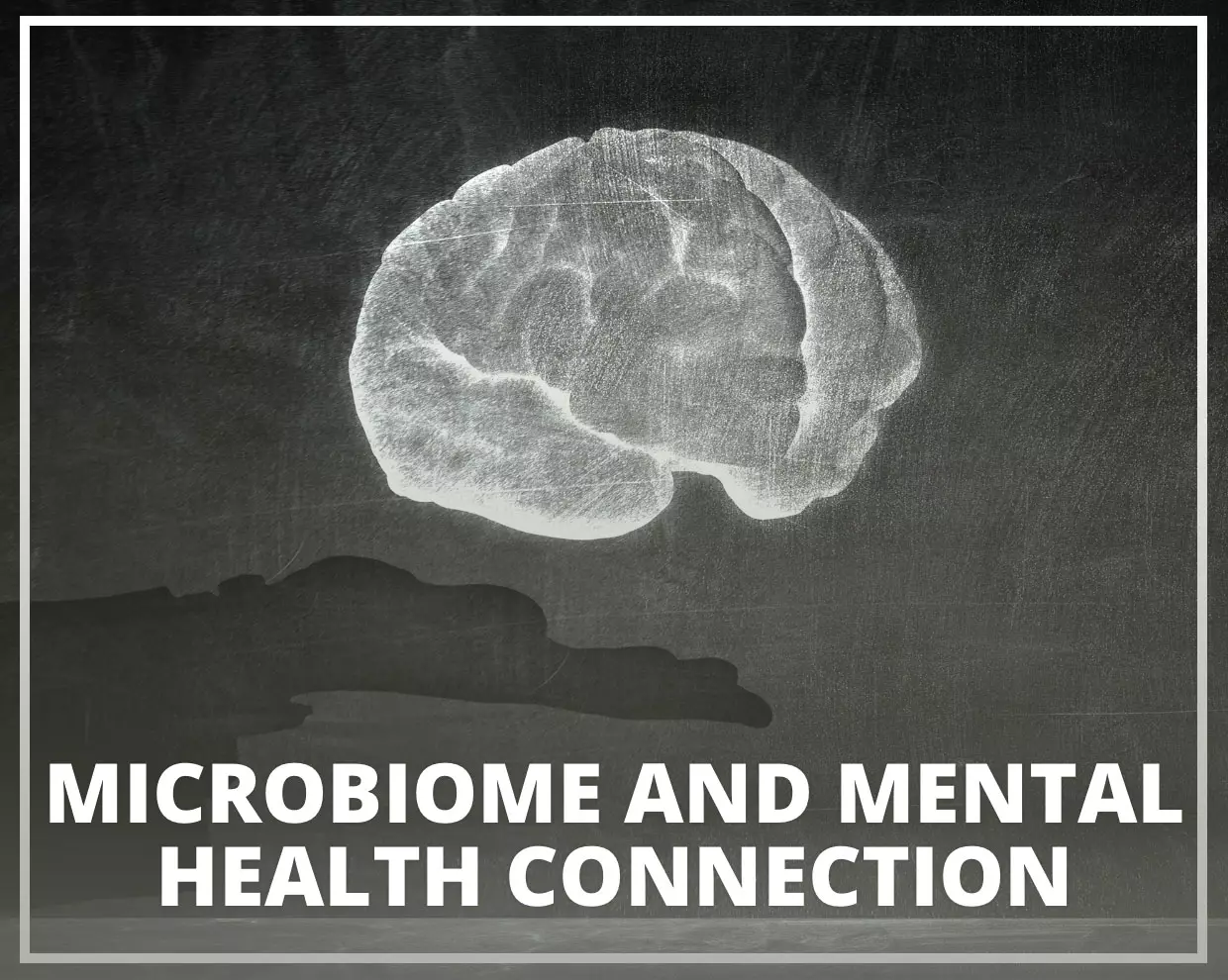 Microbiome and Mental Health Connection