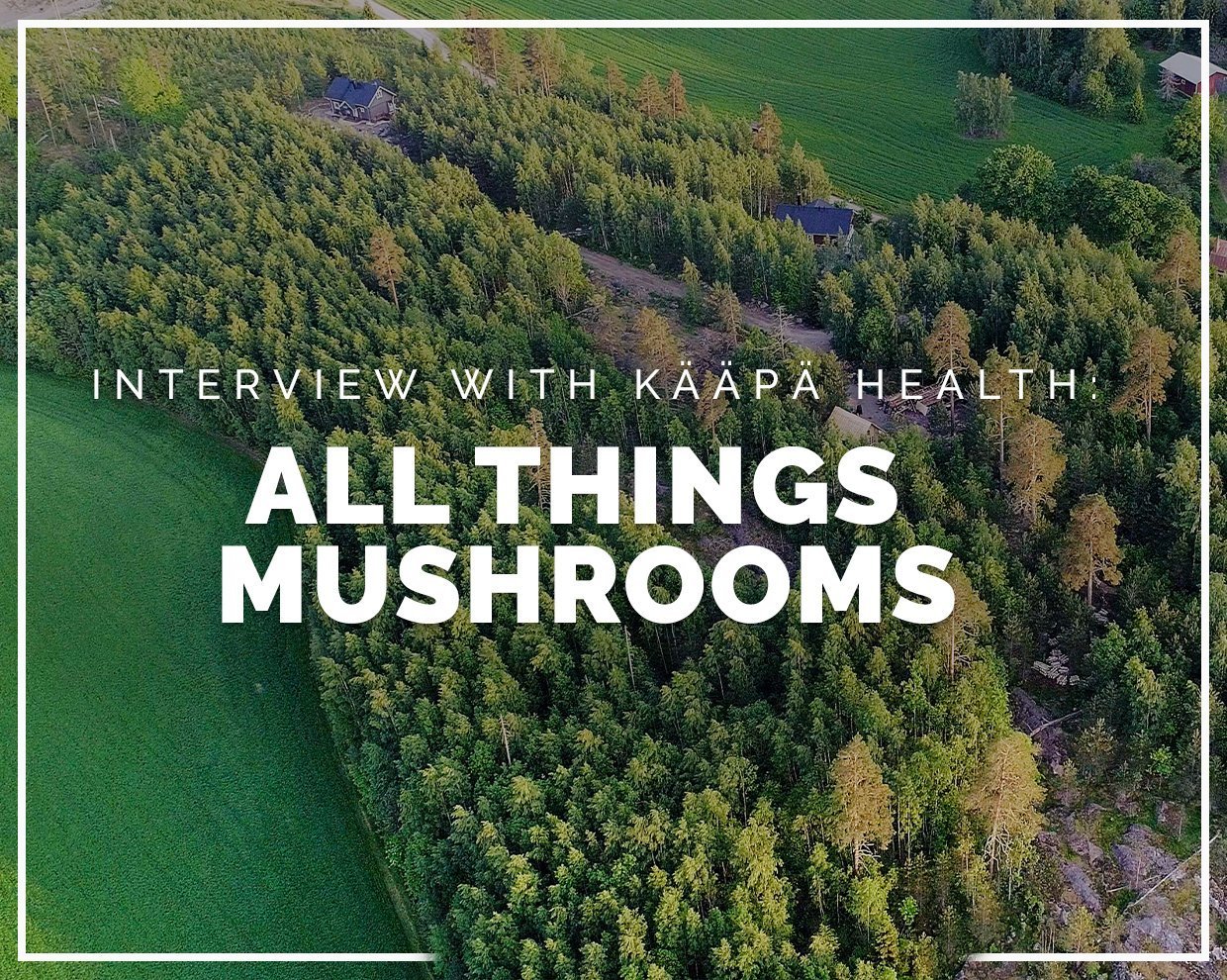 INTERVIEW WITH KÄÄPÄ HEALTH: All things mushrooms 